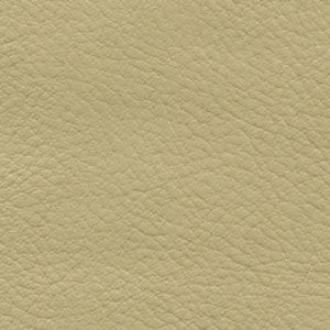 Verve Ecru by Nassimi Designer Fabric