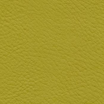 Verve Guacamole by Nassimi Designer Fabric See sample 100% Polyurethane  250000 Horizontal: Not Applicable and Vertical: Not Applicable 54"  - Swanky Fabrics -