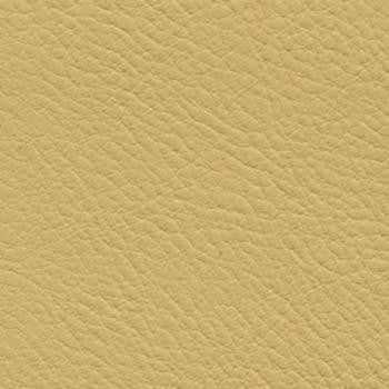 Verve Harvest EVE-016 by Nassimi Designer Fabric See sample 100% Polyurethane USA or Imported Water-based cleaning agents and foam may be used for cleaning. Cleaning by a professional cleaning service is recommended.  54  - Swanky Fabrics -