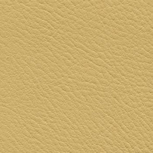 Verve Harvest by Nassimi Designer Fabric