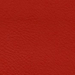 Verve Hibiscus by Nassimi Designer Fabric