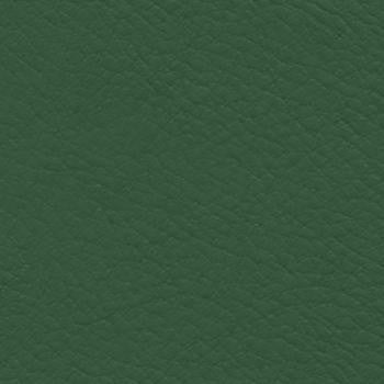 Verve Kirby EVE-018 by Burch Designer Fabric our website for purchase 100% Polyurethane USA or Asia Water-based cleaning agents and foam may be used for cleaning. This fabric may also be cleaned with mild, water-free solvents. Cleaning by a professional cleaning service is recommended. Horizontal: - and Vertical: - 54" - Swanky Fabrics -