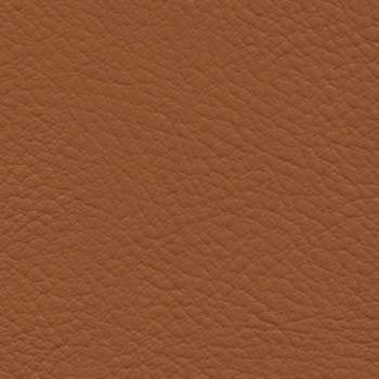 Verve Mustang by Nassimi Designer Fabric See sample 100% Polyurethane  250000 Horizontal: Not Applicable and Vertical: Not Applicable 54"  - Swanky Fabrics -