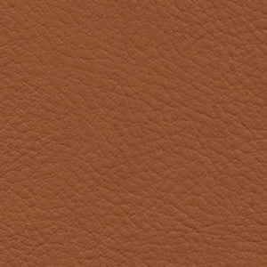 Verve Mustang by Nassimi Designer Fabric