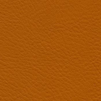 Verve Papaya EVE-025 by Nassimi Designer Fabric See sample 100% Polyurethane USA or Imported Water-based cleaning agents and foam may be used for cleaning. Cleaning by a professional cleaning service is recommended.  54  - Swanky Fabrics -