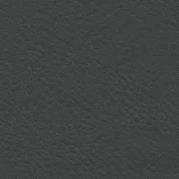 Verve Storm EVE-034 by Burch Designer Fabric our website for purchase 100% Polyurethane USA or Asia Water-based cleaning agents and foam may be used for cleaning. This fabric may also be cleaned with mild, water-free solvents. Cleaning by a professional cleaning service is recommended. Horizontal: - and Vertical: - 54" - Swanky Fabrics -