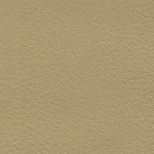 Verve Straw by Nassimi Designer Fabric