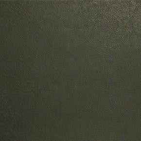 Vintage Moss SVI-007 by Nassimi Designer Fabric our website for purchase 100% Vinyl USA or Asia Water-based cleaning agents and foam may be used for cleaning. This fabric may also be cleaned with mild, water-free solvents. Cleaning by a professional cleaning service is recommended. Horizontal: - and Vertical: - 54" - Swanky Fabrics -