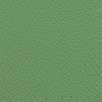 Vista Key Lime by Omnova Designer Fabric