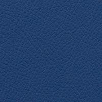 Vista Paradise VIS-41 by Omnova Designer Fabric See sample 100% Vinyl USA or Imported Water-based cleaning agents and foam may be used for cleaning. Cleaning by a professional cleaning service is recommended.  54  - Swanky Fabrics -