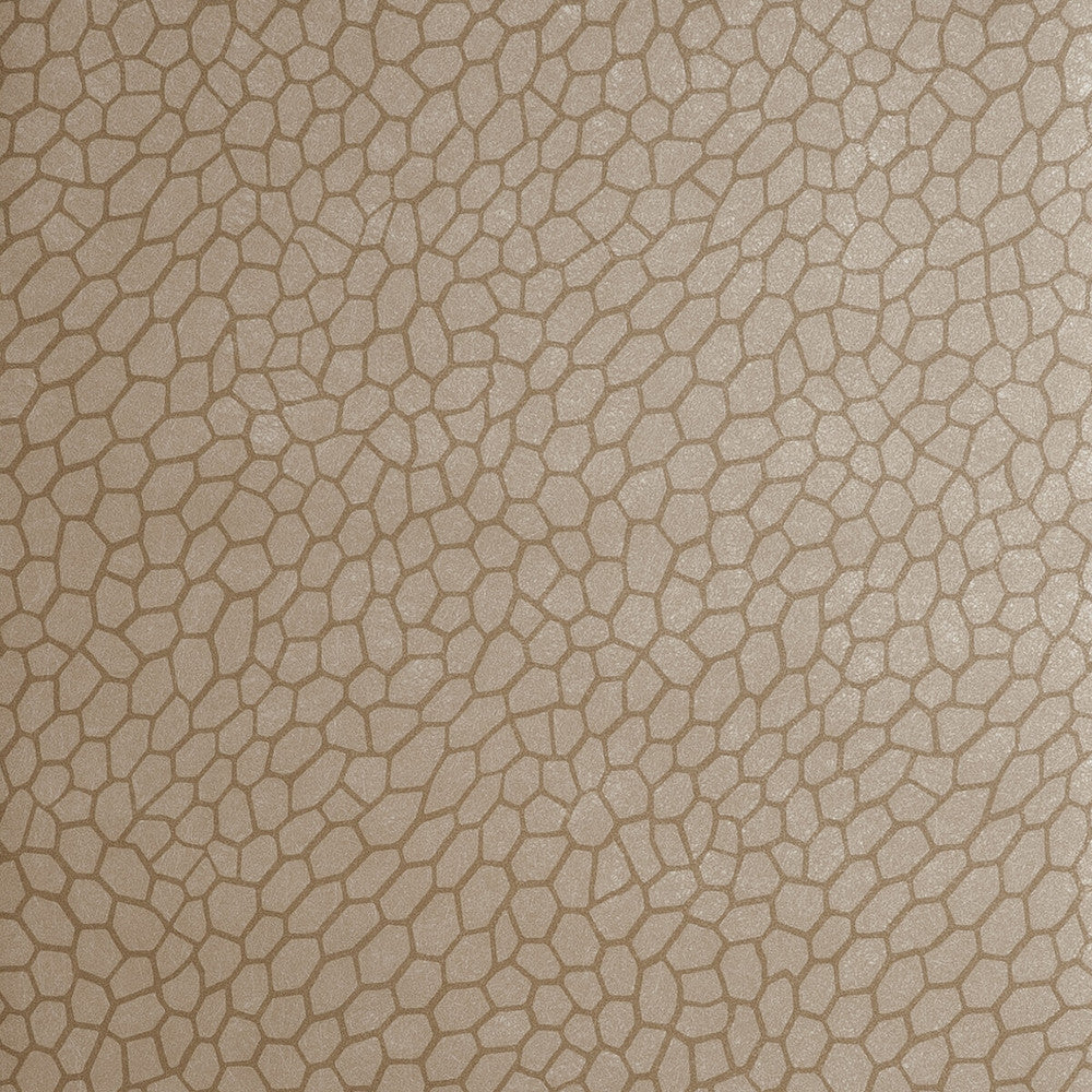 Playa Antique by Clarke And Clarke Wallcovering Clarke And Clarke Wallcovering Playa AntiqueWallcovering CLARKE & CLARKE REFLECTIONS WOOD PULP - 74%;BINDER - 13%;POLYESTER - 13% United Kingdom </p><p>Repeat: H: 20.875, V: 20.875 20.875 - Fabric Carolina -