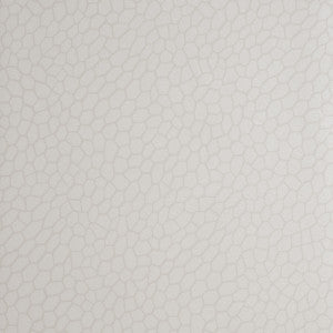 Playa Parchment by Clarke And Clarke Designer Wallcovering