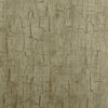 Tree Bark Antique by Clarke And Clarke Designer Wallcovering