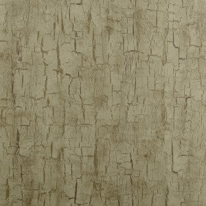 Tree Bark Antique by Clarke And Clarke Designer Wallcovering