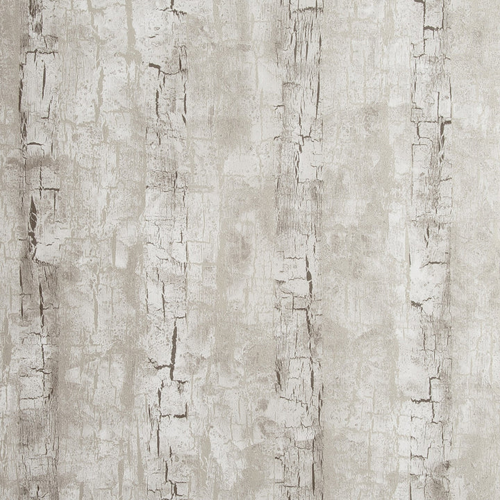 Tree Bark Birch by Clarke And Clarke Designer Wallcovering CLARKE & CLARKE REFLECTIONS WOOD PULP - 74%;BINDER - 13%;POLYESTER - 13% United Kingdom - Horizontal: 20.875 and Vertical: 10.5 20.875 - Swanky Fabrics -