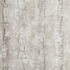 Tree Bark Birch by Clarke And Clarke Designer Wallcovering
