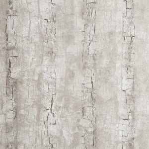 Tree Bark Birch by Clarke And Clarke Designer Wallcovering