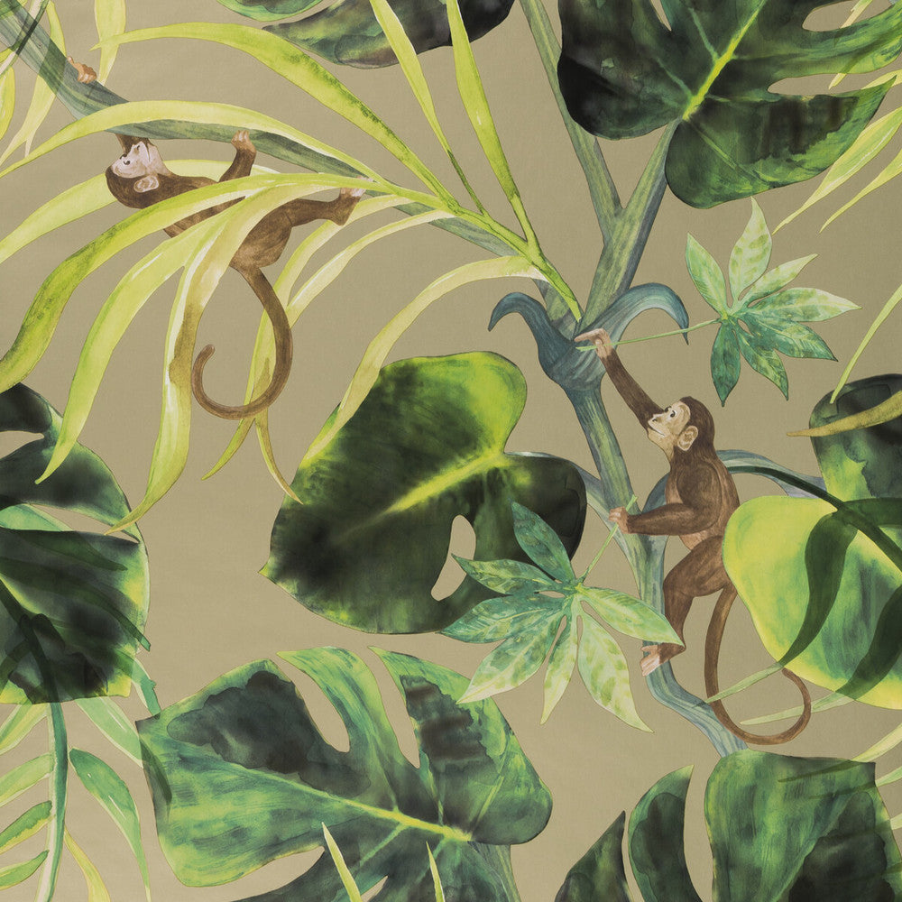 Monkey Business Gilver by Clarke And Clarke Wallcovering Clarke And Clarke Wallcovering Monkey Business GilverWallcovering CLARKE & CLARKE COLONY Belgium </p><p>Repeat: H: 0, V: 20.875 20.875 - Fabric Carolina -