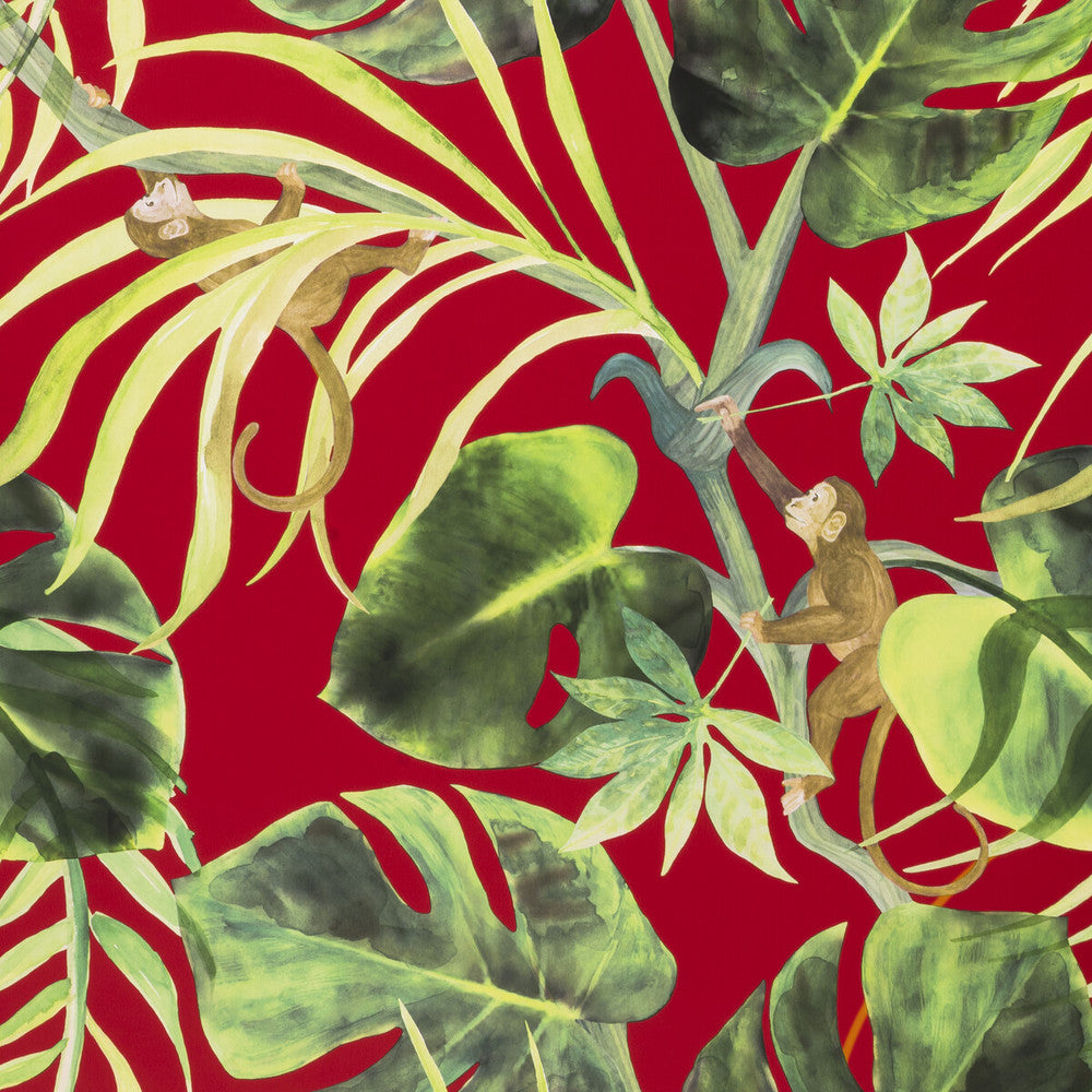 Monkey Business Rouge by Clarke And Clarke Designer Wallcovering CLARKE & CLARKE COLONY - Belgium - Horizontal: 0 and Vertical: 20.875 20.875 - Swanky Fabrics -