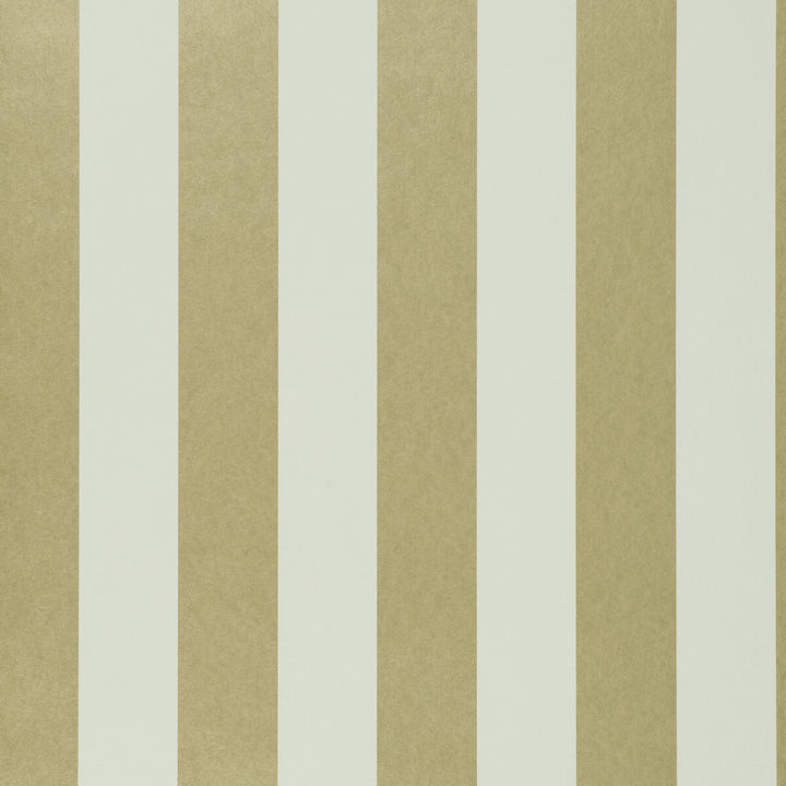 Nevis Gold by Clarke And Clarke Wallcovering Clarke And Clarke Wallcovering Nevis GoldWallcovering CLARKE & CLARKE COLONY Belgium </p><p>Repeat: H: 0, V: 0 20.875 - Fabric Carolina -