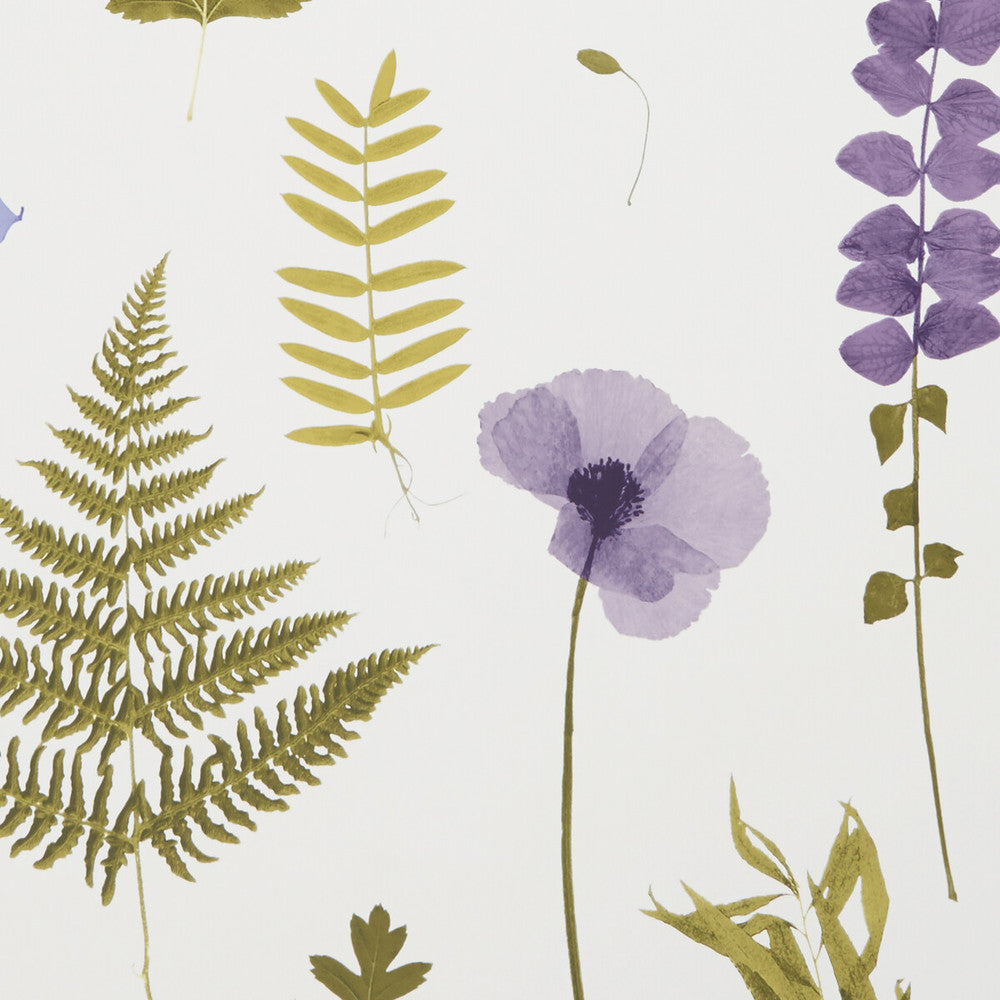 Herbarium Heather by Clarke And Clarke Designer Wallcovering CLARKE & CLARKE BOTANICA United Kingdom Horizontal: and Vertical: 20.5 - Swanky Fabrics -