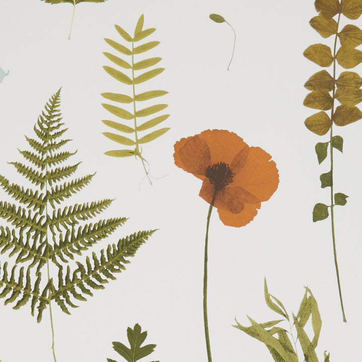 Herbarium Multi/Ivory by Clarke And Clarke Designer Wallcovering CLARKE & CLARKE BOTANICA - United Kingdom - Horizontal: - and Vertical: - 20.5 - Swanky Fabrics -