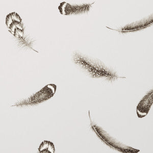 Plumis Ivory/Gold by Clarke And Clarke Designer Wallcovering