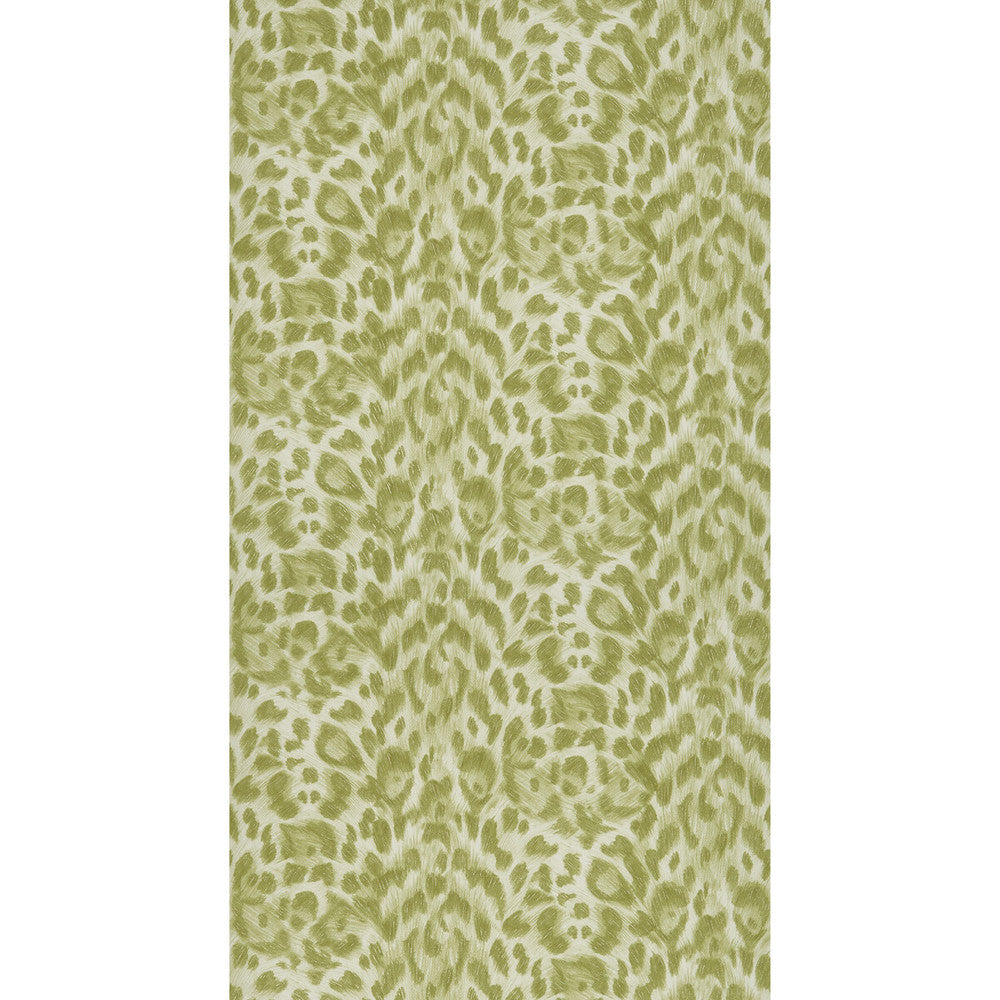 Felis Green by Clarke And Clarke Designer Wallcovering WILDERIE BY EMMA J SHIPLEY FOR C&C NON WOVEN - 100% United Kingdom Horizontal: 0 and Vertical: 10.24 21 - Swanky Fabrics -
