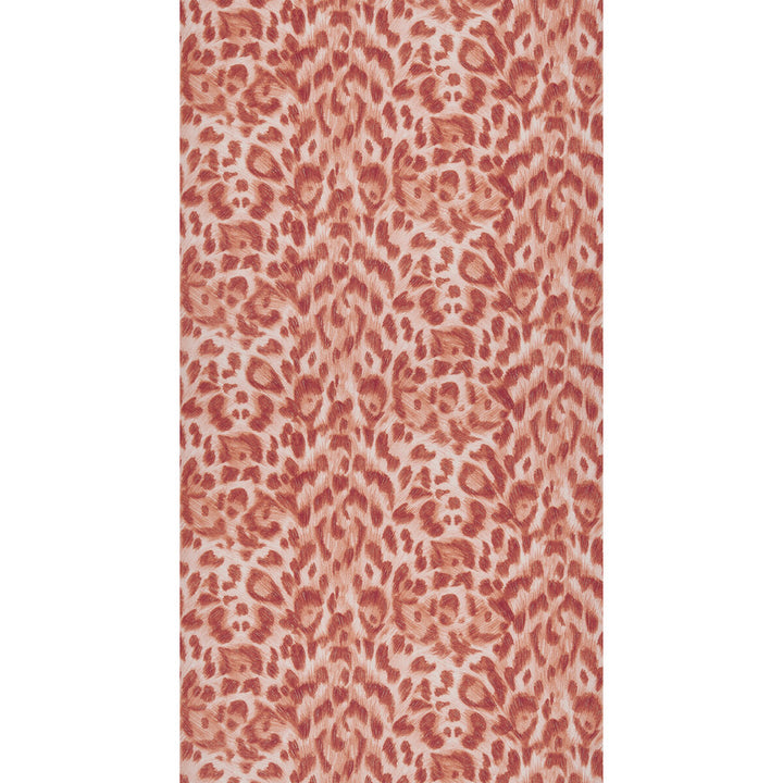 Felis Red/Rose Gold by Clarke And Clarke Wallcovering Clarke And Clarke Wallcovering Felis Red/Rose Gold Wallcovering WILDERIE BY EMMA J SHIPLEY FOR C&C NON WOVEN - 100% United Kingdom </p><p>Repeat: H: 0, V: 10.24 21 - Fabric Carolina -