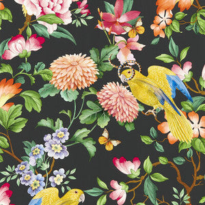 Golden Parrot Wp Noir by Clarke And Clarke Designer Wallcovering
