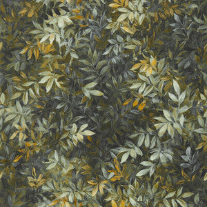 Congo Noir Wp by Clarke And Clarke Designer Wallcovering