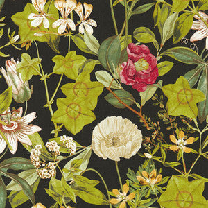 Passiflora Noir Wp by Clarke And Clarke Designer Wallcovering