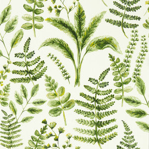 Bracken Forest Wp W0156/02.CAC.0 By Clarke And Clarke Designer Wallcovering
