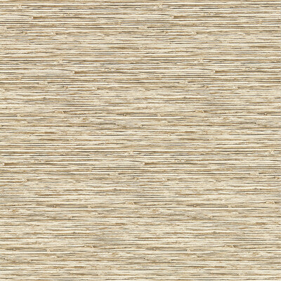 Clarke And Clarke - Wallcovering - W0192/06.CAC.0 - Wallcovering - VINYL - 100% - United Kingdom </p><p>Repeat: H: , V: 27.5 21 - My Fabric Connection -