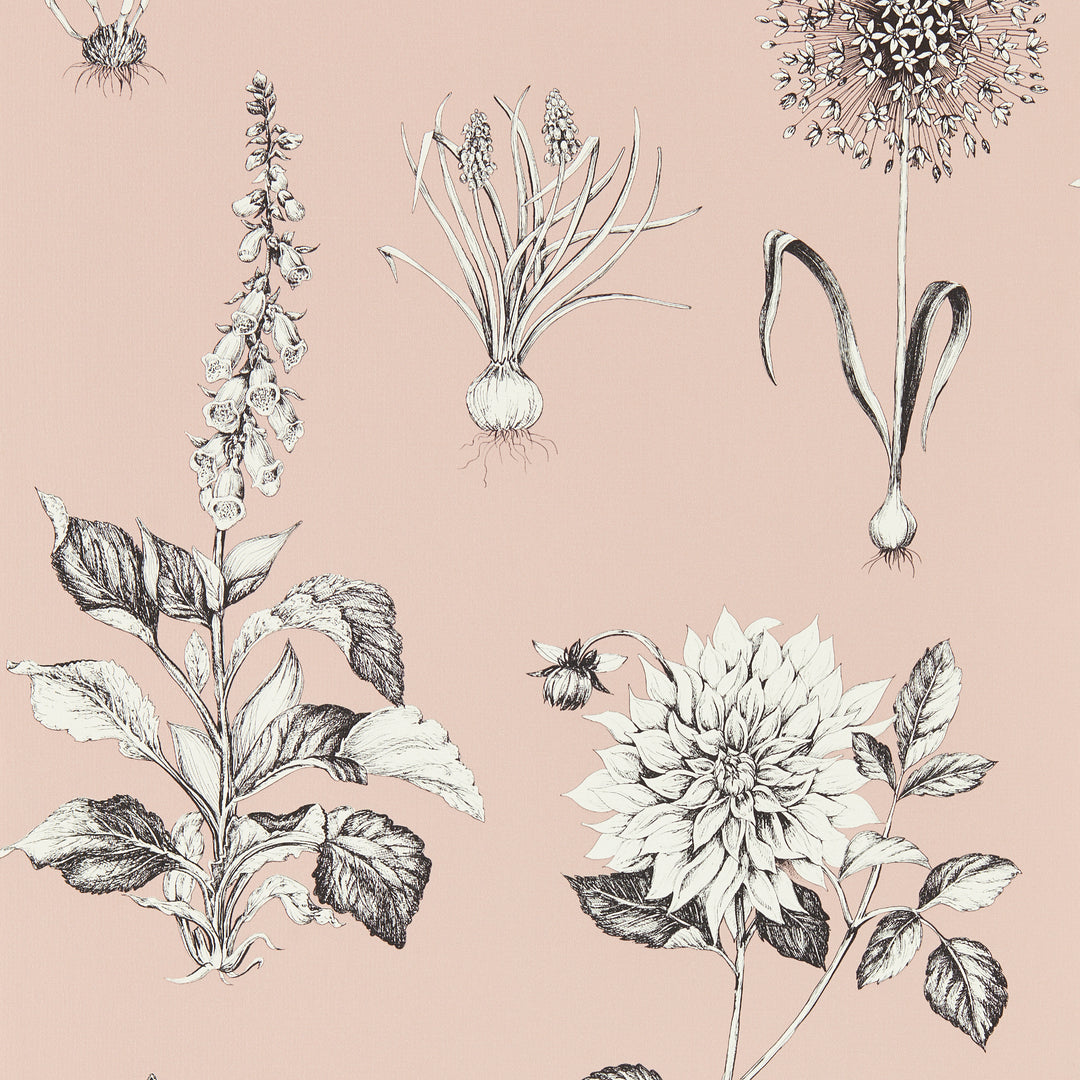 Roseraie - Blush Wp W0197/01.CAC.0 by Clarke & Clarke Designer Wallcovering