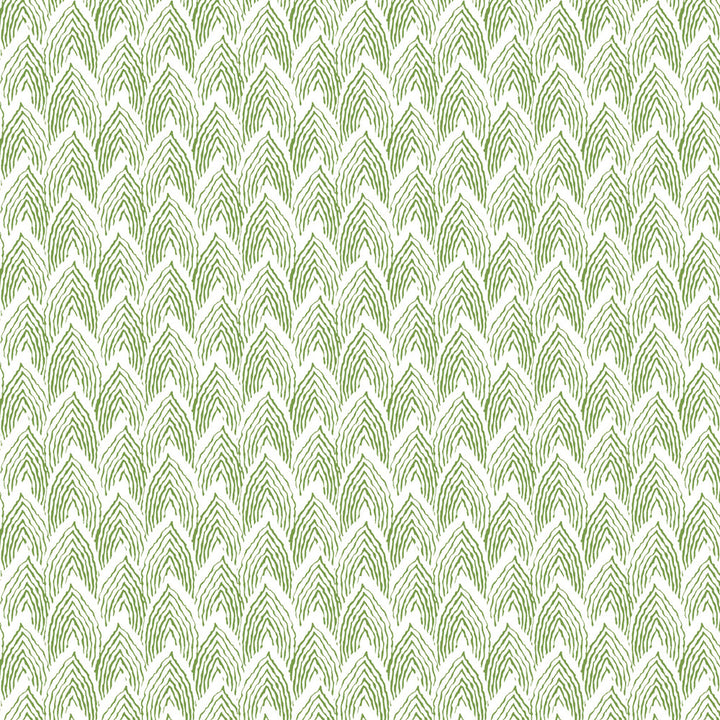 W01Vl-2 Piedmont Grass Wallpaper by Aoc Wallcovering Aoc Wallcovering W01Vl-2 Piedmont Grass WallpaperWallcovering HERITAGE WALLPAPER USA </p><p>Repeat: H: 2.250, V: 1.625 27 in - Fabric Carolina -