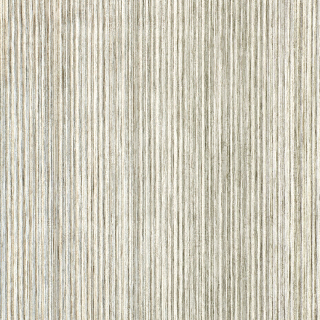 Asper - Putty Wp W0205/04.CAC.0 by Clarke & Clarke Designer Wallcovering