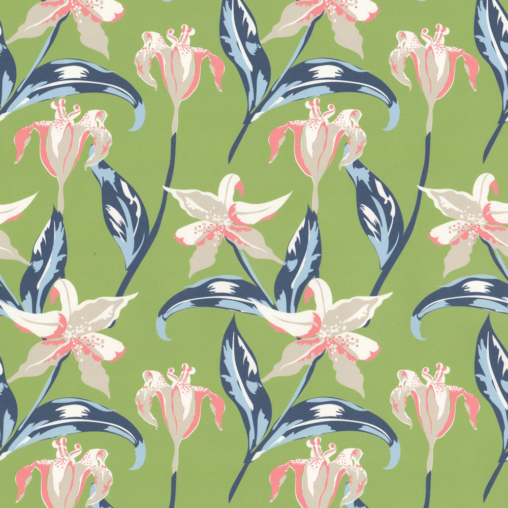 W07Vl Emma 1 Grass by Aoc Wallcovering Aoc Wallcovering W07Vl Emma 1 GrassWallcovering THE ART OF COLOR HERITAGE WALLPAPER II 100%PA USA </p><p>Repeat: H: 9.000, V: 12.000 27 in - Fabric Carolina -
