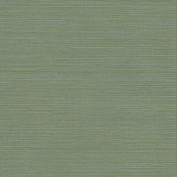 W1014-14 Hadley Fern Wallpaper by Aoc Wallcovering Aoc Wallcovering W1014-14 Hadley Fern WallpaperWallcovering VINYL TEXTURED WALLPAPER 100%OTH USA </p><p>Repeat: H: 0.000, V: 0.000 27 in - Fabric Carolina -