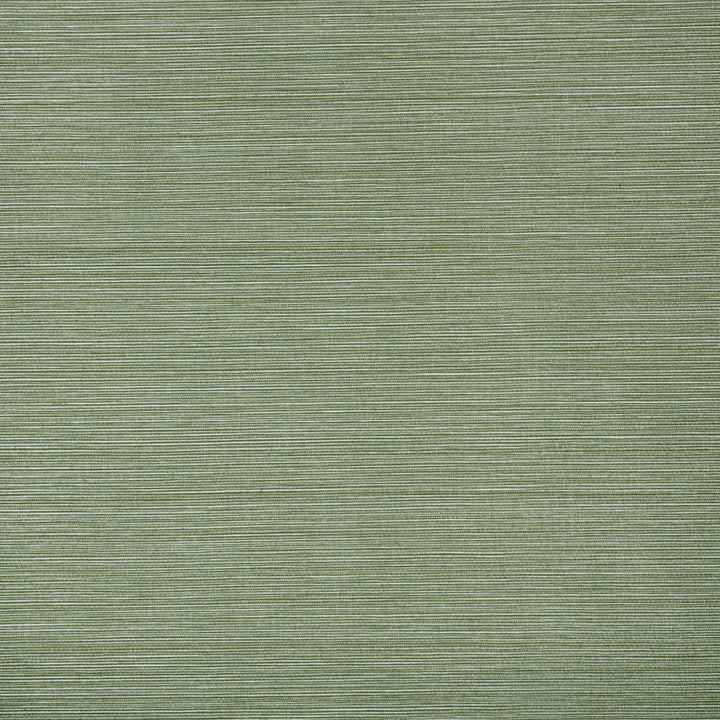 W1014-14 Hadley Fern Wallpaper by Aoc Wallcovering Aoc Wallcovering W1014-14 Hadley Fern WallpaperWallcovering VINYL TEXTURED WALLPAPER USA </p><p>Repeat: H: 0.000, V: 0.000 27 in - Fabric Carolina -