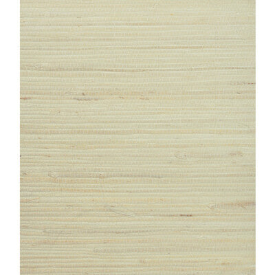 W3047.1116.0 by Kravet Wallcovering Kravet Wallcovering W3047.1116.0Wallcovering GRASSCLOTH III GRASS - 100% China </p><p>Repeat: H: 0, V: 0 36 - Fabric Carolina -