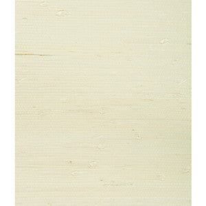 W3047-16 by Kravet Designer Wallcovering