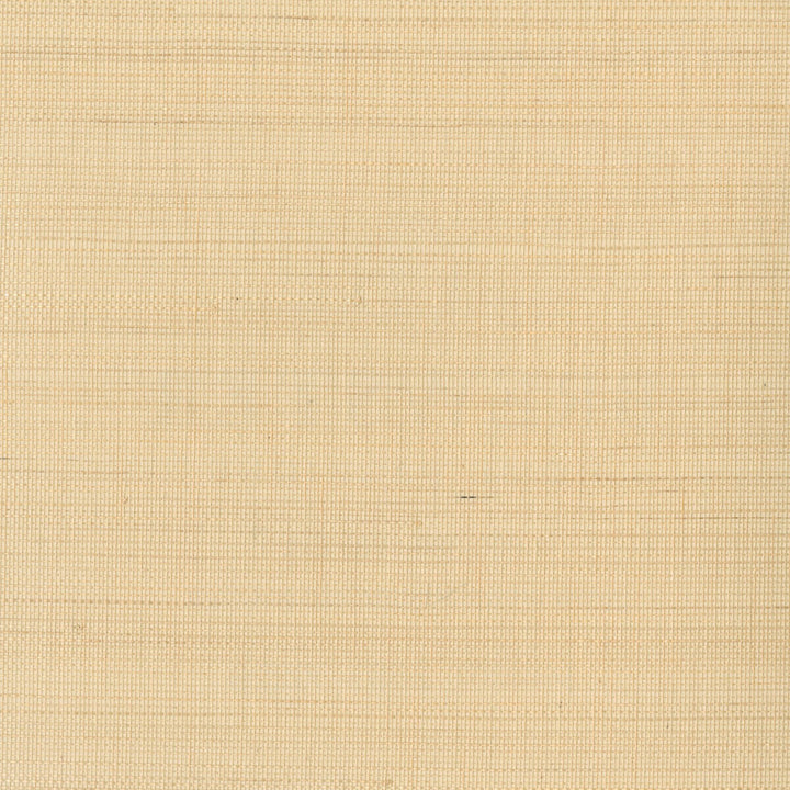 W3291-16 by Kravet Design Designer Wallcovering GRASSCLOTH III GRASS - 100% China Horizontal: and Vertical: 36 - Swanky Fabrics -