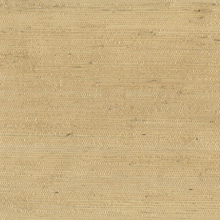W3303-14 by Kravet Design Designer Wallcovering GRASS - 100% Korea, Republic of Horizontal: and Vertical: 36 - Swanky Fabrics -