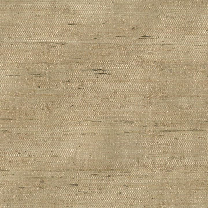 W3303-16 by Kravet Design Designer Wallcovering GRASS - 100% Korea, Republic of Horizontal: and Vertical: 36 - Swanky Fabrics -