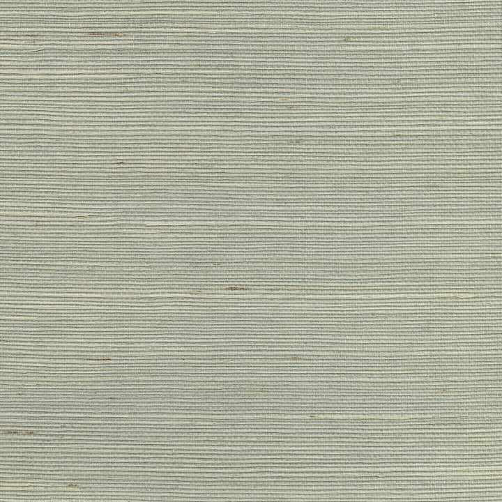 W3454-130 by Kravet Design Designer Wallcovering - GRASS - 100% China - Horizontal: - and Vertical: - 36 - Swanky Fabrics -