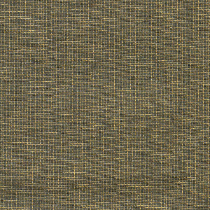 W3458-106 by Kravet Design Designer Wallcovering GRASS - 100% China Horizontal: and Vertical: 36 - Swanky Fabrics -