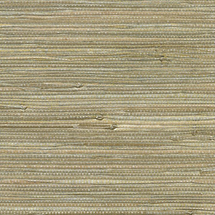 Kravet Design W3459-1611 by Kravet Design Wallcovering Kravet Design Wallcovering Kravet Design W3459-1611Wallcovering GRASS - 100% China </p><p>Repeat: H: , V: 36 - Fabric Carolina -