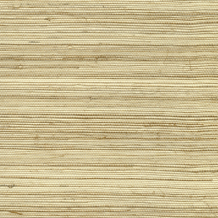W3461-1611 by Kravet Design Designer Wallcovering GRASS - 100% China Horizontal: and Vertical: 36 - Swanky Fabrics -