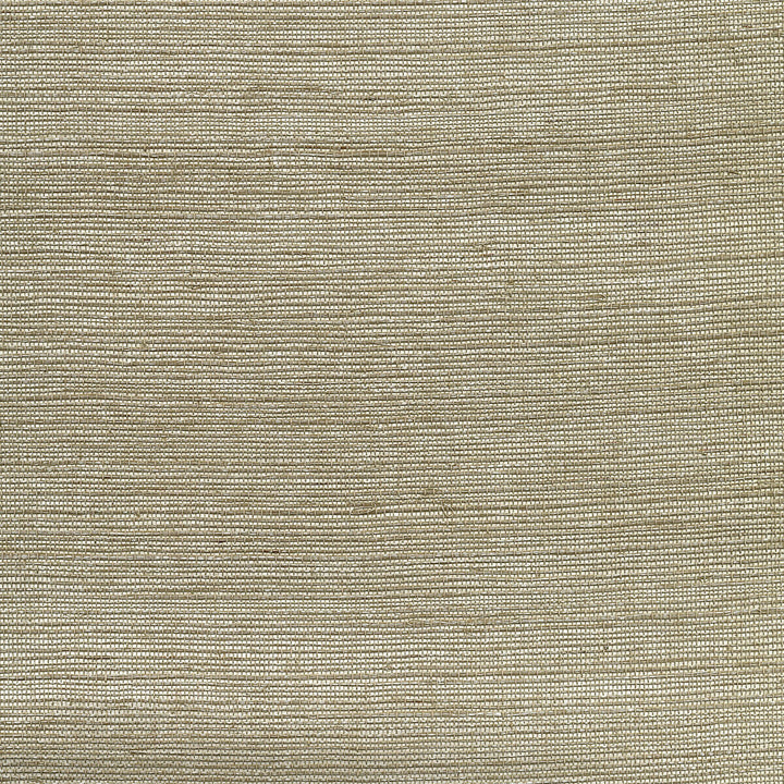 W3462-1611 by Kravet Design Designer Wallcovering GRASS - 100% China Horizontal: and Vertical: 36 - Swanky Fabrics -